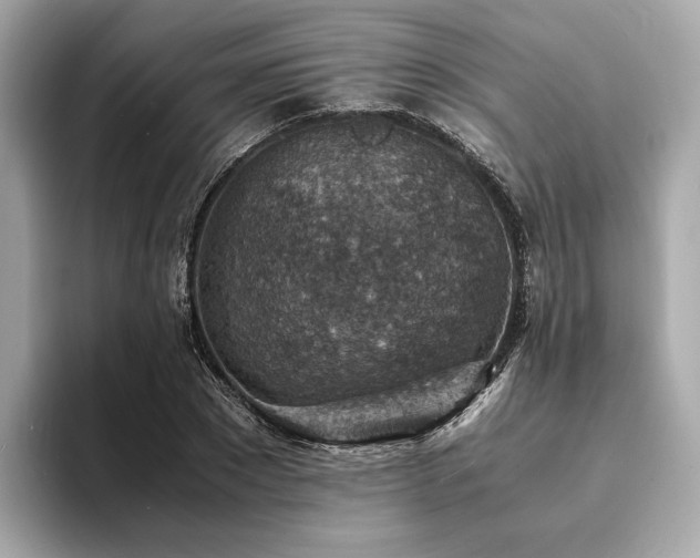 X0000093730881200710161115