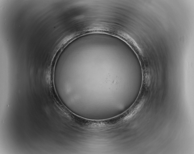X0000093730882200710161115