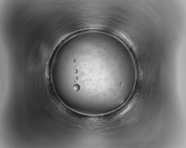 X0000093730883200710161115