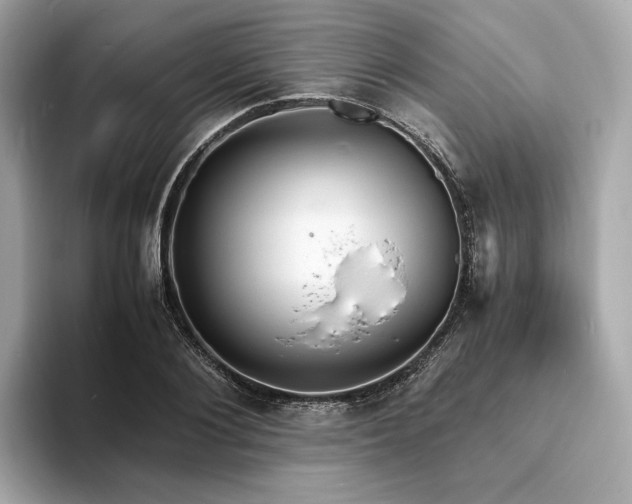 X0000093730884200710161115