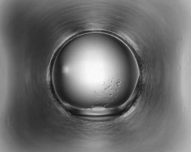 X0000093730885200710161115