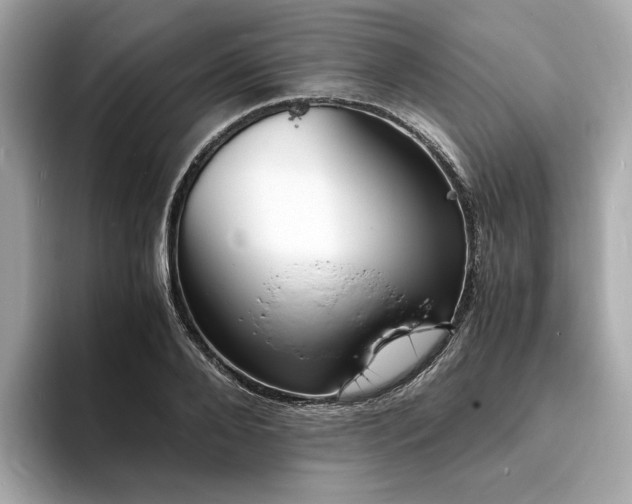 X0000093730888200710161115