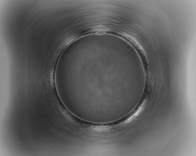 X0000093730889200710161115