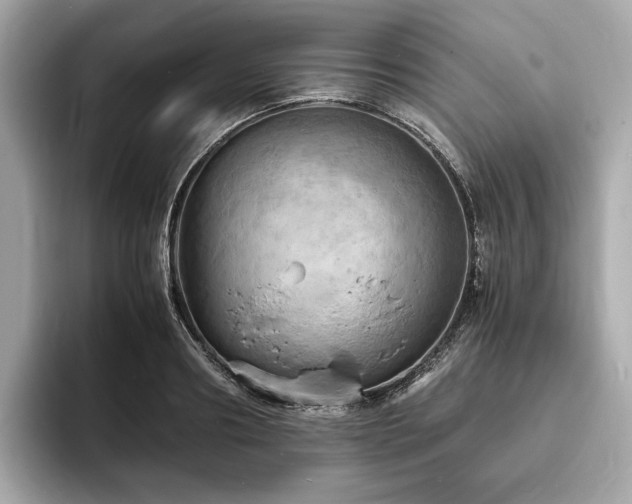 X0000093730890200710161115
