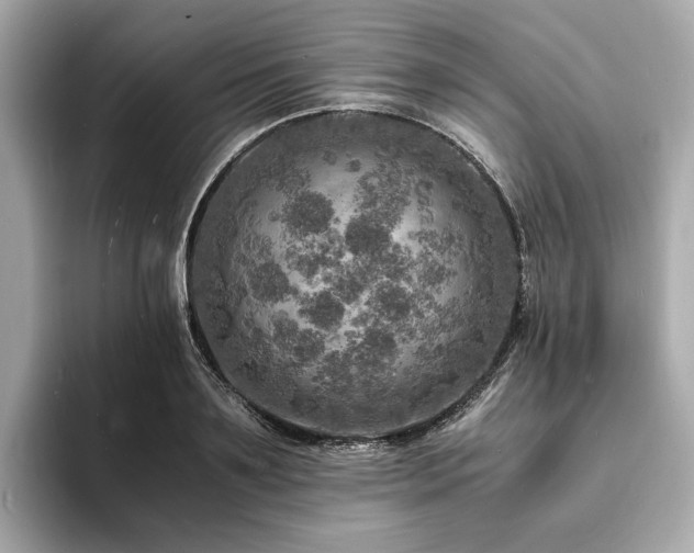 X0000093730891200710161115