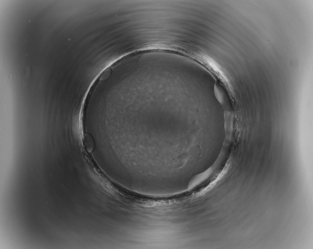 X0000093730892200710161115