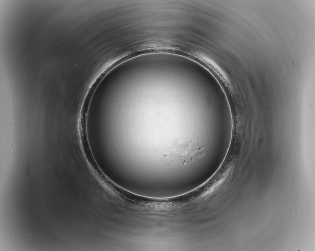 X0000093730893200710161115