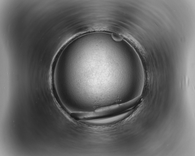 X0000093730894200710161115