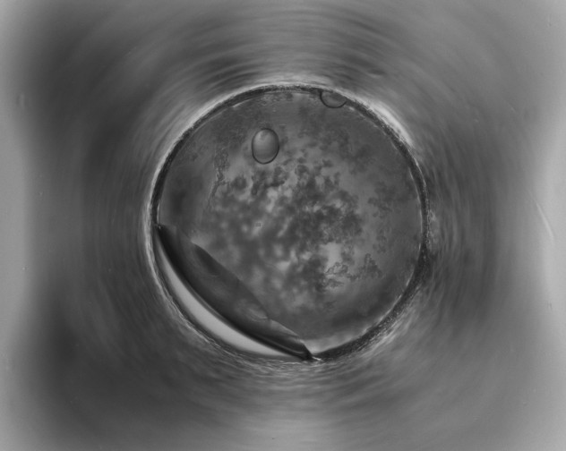 X0000093730895200710161115