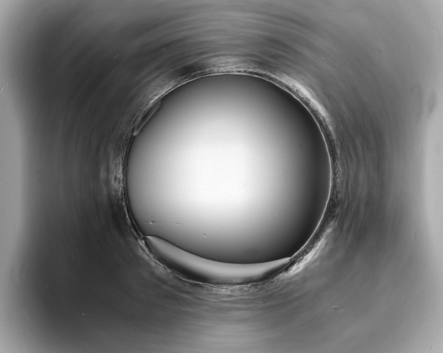 X0000093730897200710161115