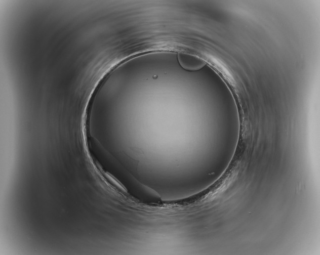 X0000093730899200710161115