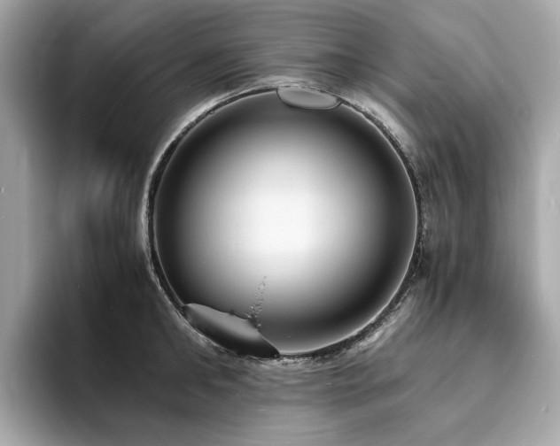 X0000093730902200710161115