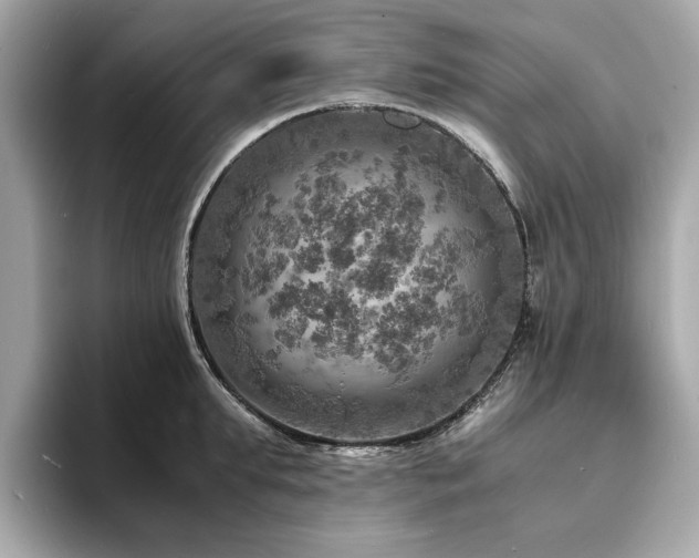 X0000093730903200710161115