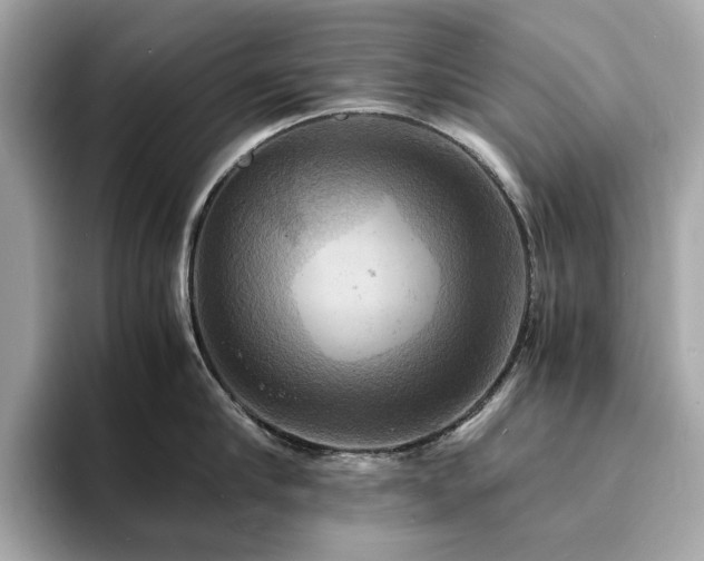 X0000093730910200710161114