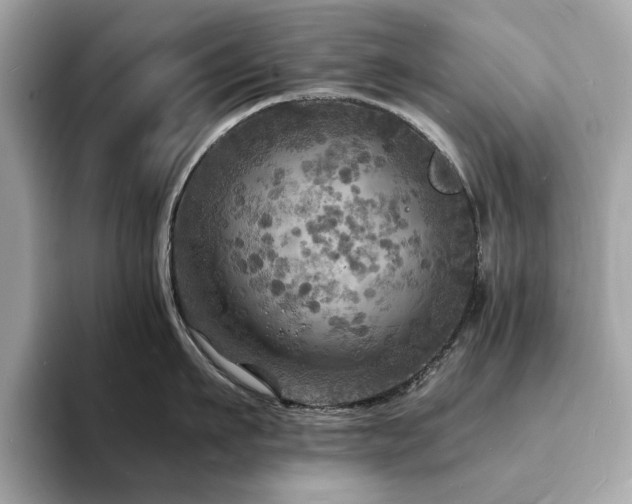 X0000093730911200710161114