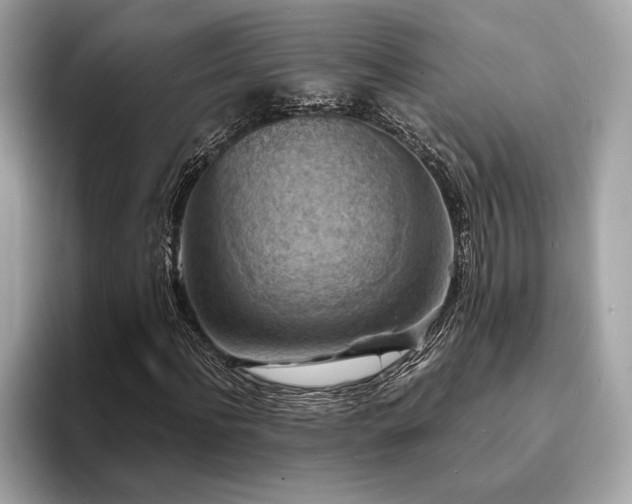 X0000093730916200710161114