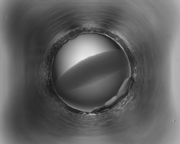 X0000093730919200710161114