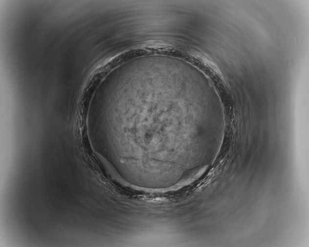 X0000093730920200710161114