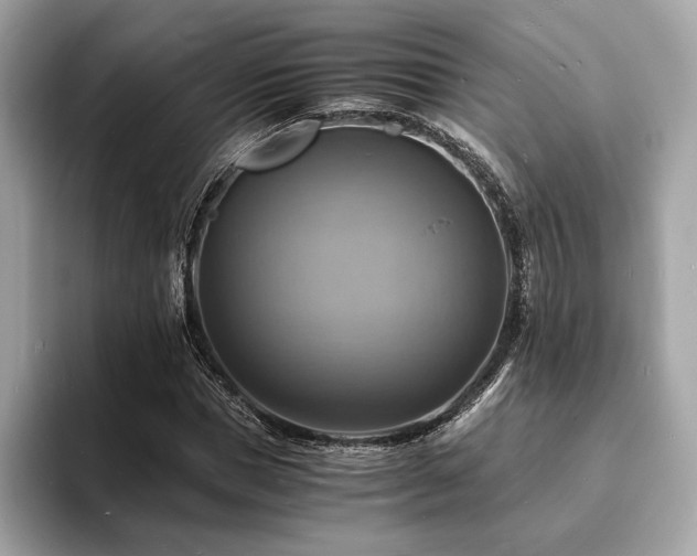 X0000093730921200710161114