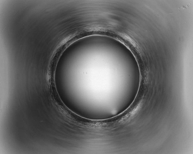 X0000093730922200710161114