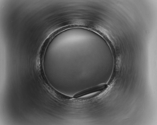 X0000093730923200710161114