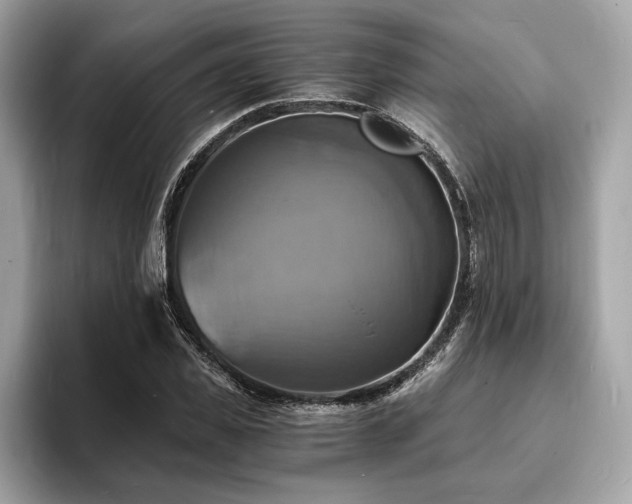 X0000093730925200710161114