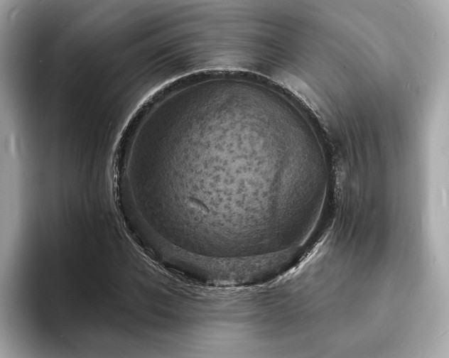 X0000093730926200710161114