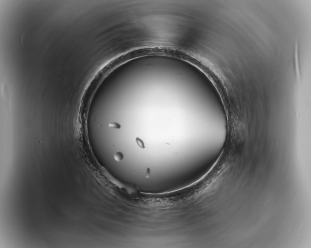 X0000093730927200710161114
