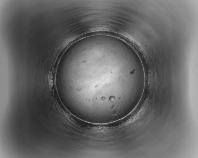X0000093730929200710161114