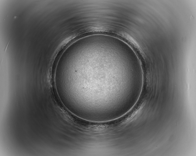 X0000093730930200710161114