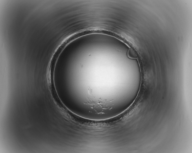 X0000093730934200710161114
