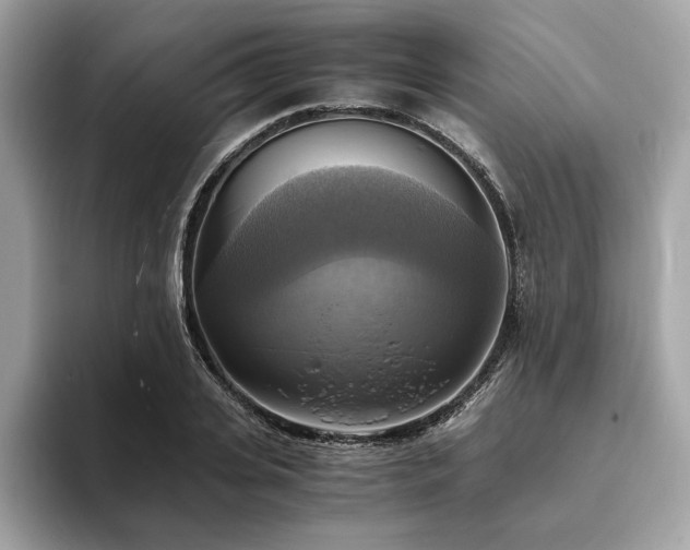 X0000093730935200710161114