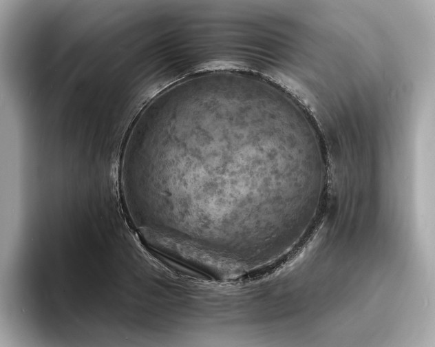 X0000093730937200710161114