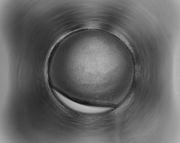 X0000093730939200710161114