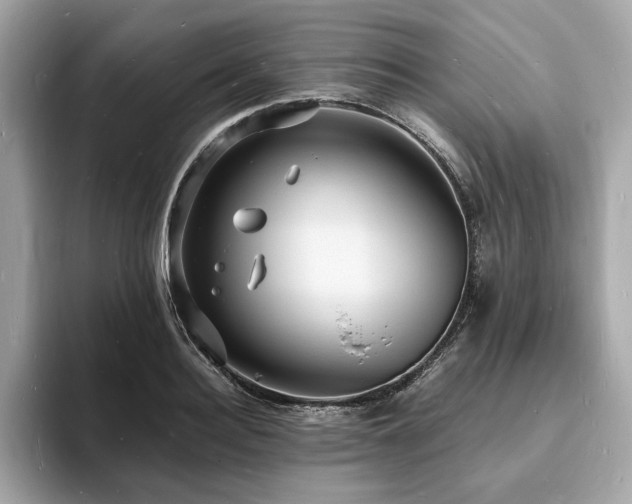 X0000093730940200710161114