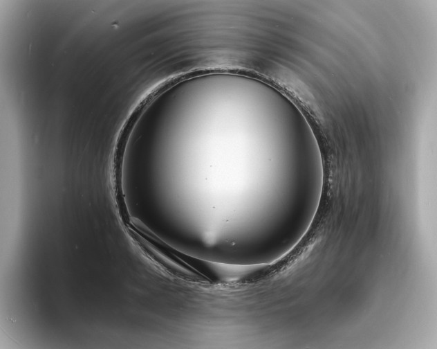 X0000093730942200710161114