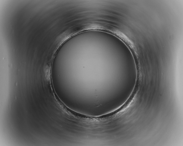 X0000093730945200710161114