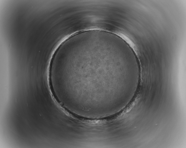X0000093730949200710161114