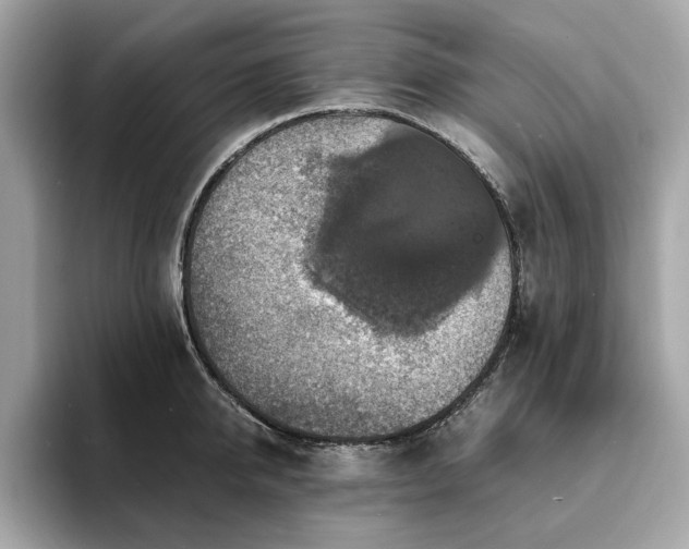 X0000093730950200710161114