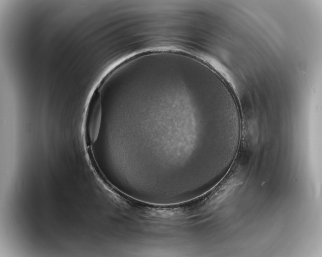 X0000093730951200710161114