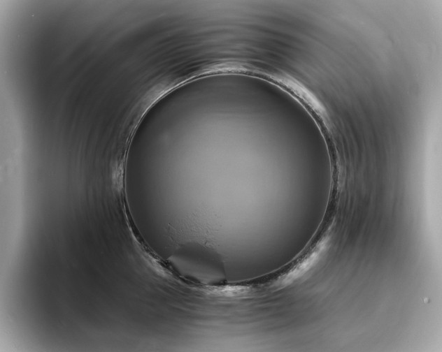 X0000093730953200710161114