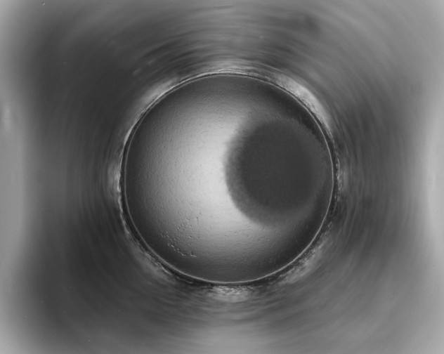 X0000093730954200710161114