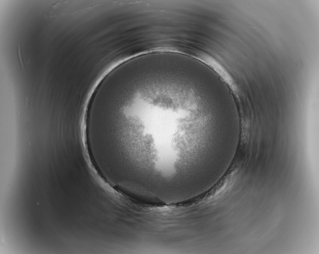 X0000093730955200710161114