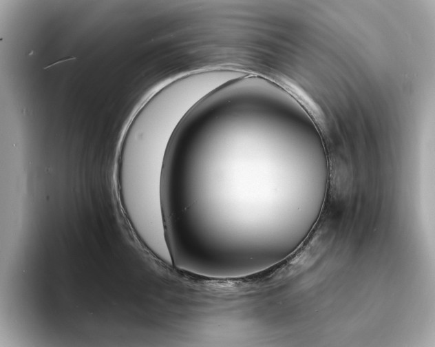 X0000093730956200710161114