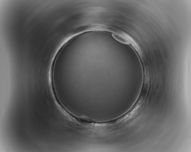 X0000093730958200710161114