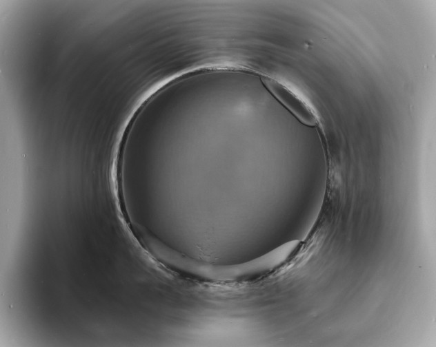 X0000093730959200710161114
