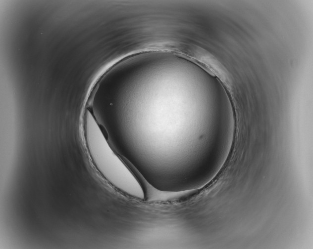 X0000093730960200710161114
