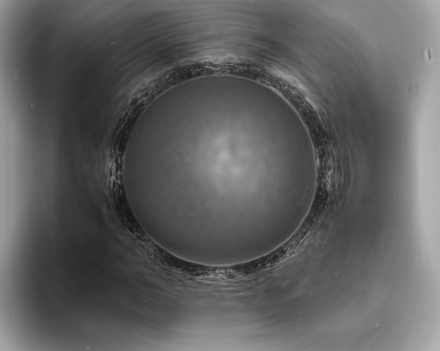 X0000093730966200710161114