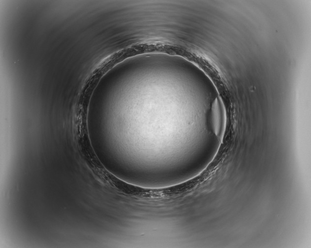 X0000093730968200710161114