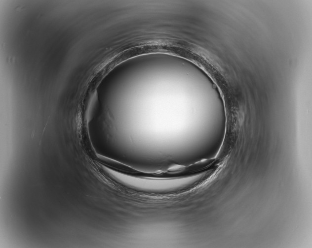X0000093730969200710161114